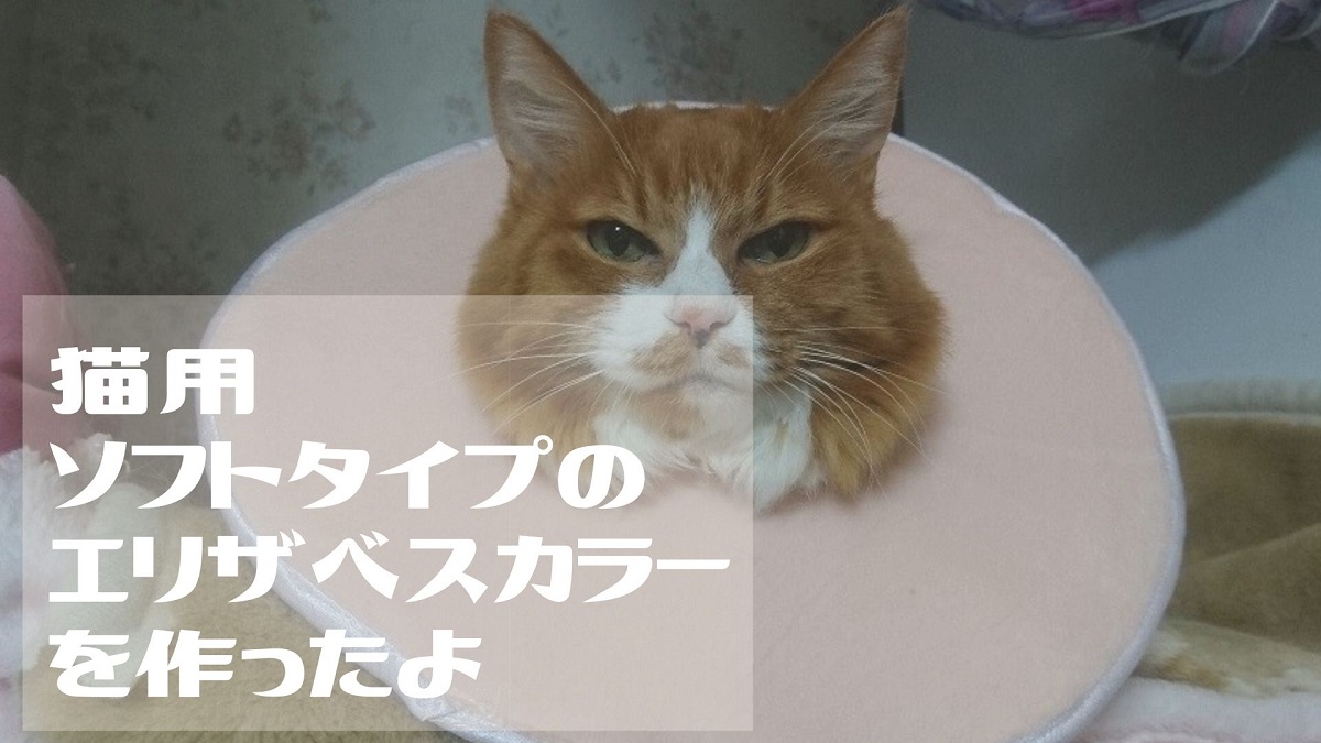 猫ちゃん快適 100均材料で ソフトタイプのエリザベスカラーを作る つくろーる